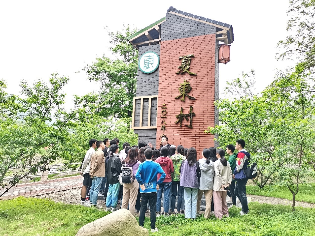 图像正在加载中