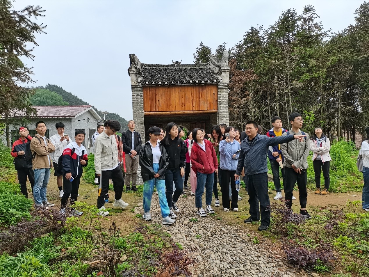 图像正在加载中