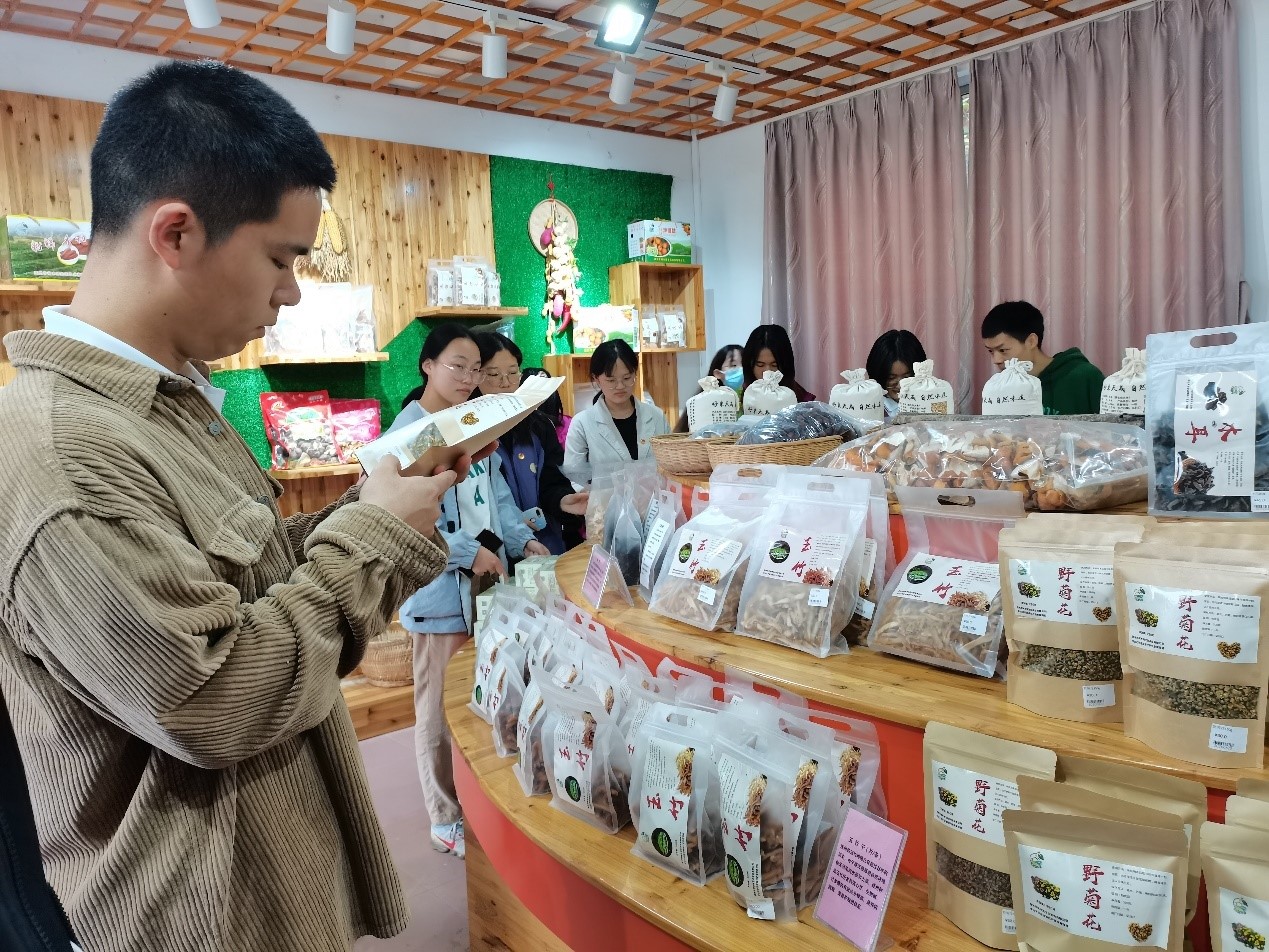 图像正在加载中