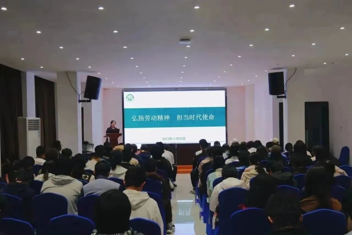 image-20231211230006-6