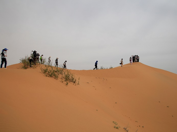 image-20240909202454-15