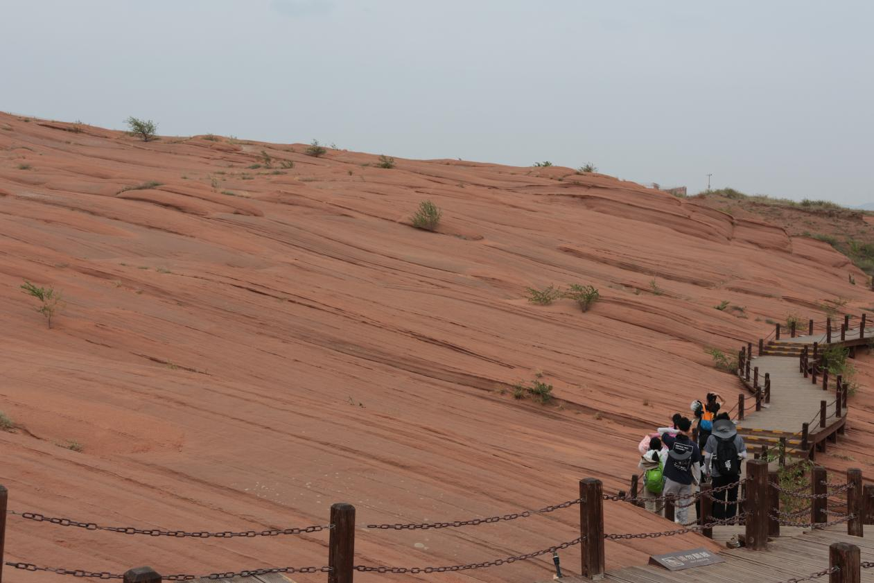 image-20240909203223-27