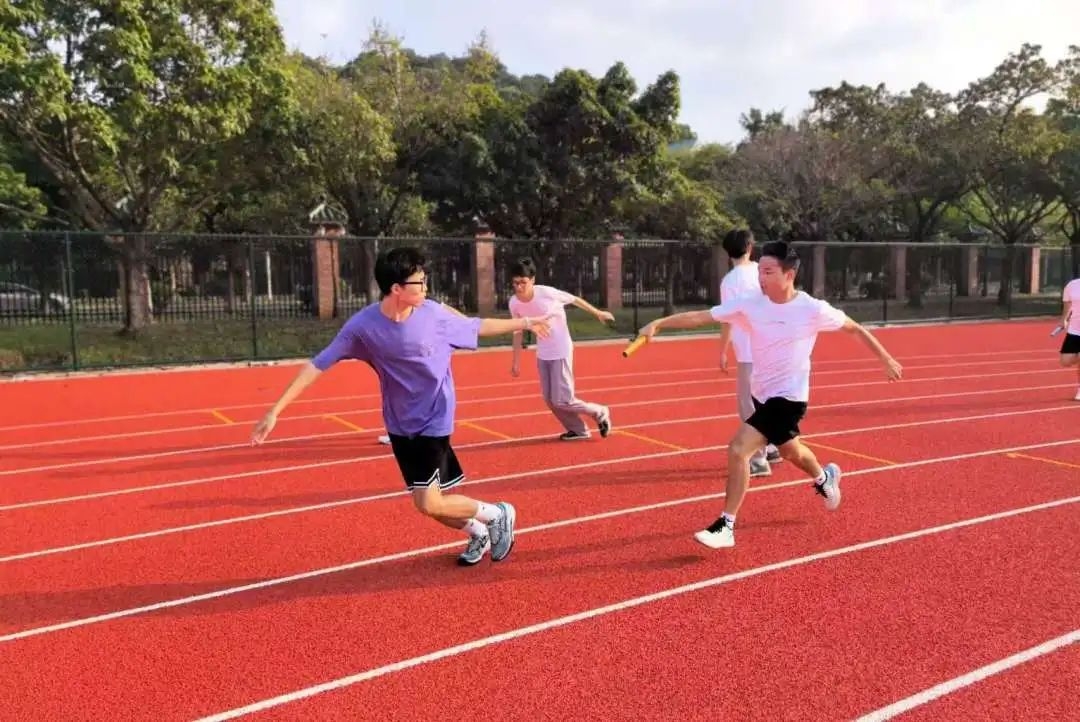 image-20241117201516-15