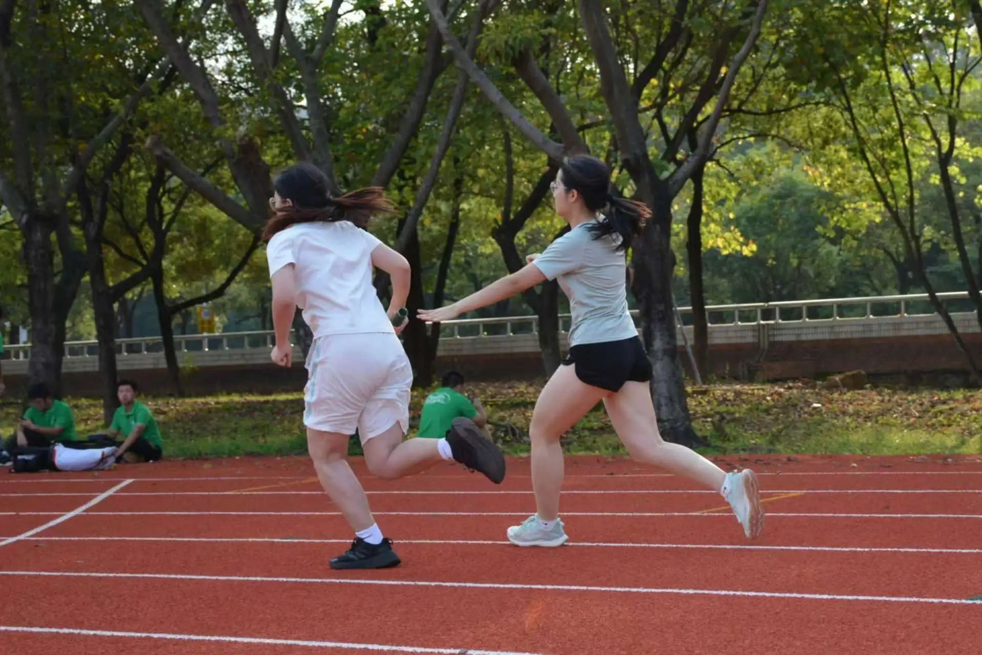 image-20241117201522-16