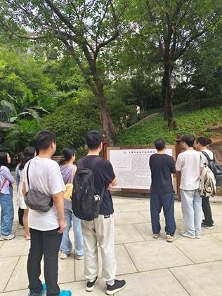 image-20250312224537-3