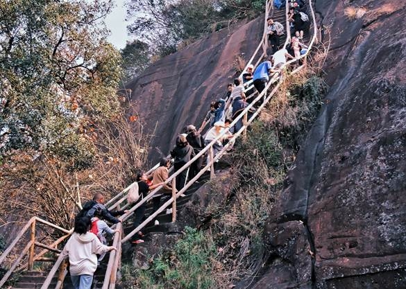 image-20250401130841-4